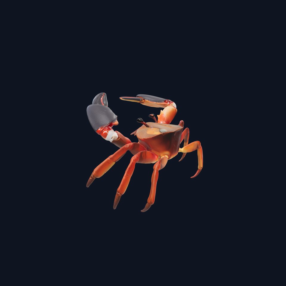 Coconut Crab Tropical Design model pack